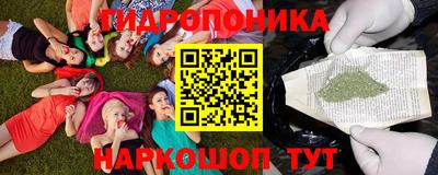 ECSTASY Малгобек