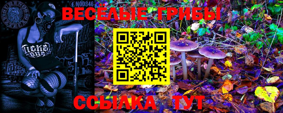 купить   Галлюциногенные грибы MAGIC MUSHROOMS  Псилоцибиновые грибы Psilocybine cubensis  Вход с VPN  Тамбов 